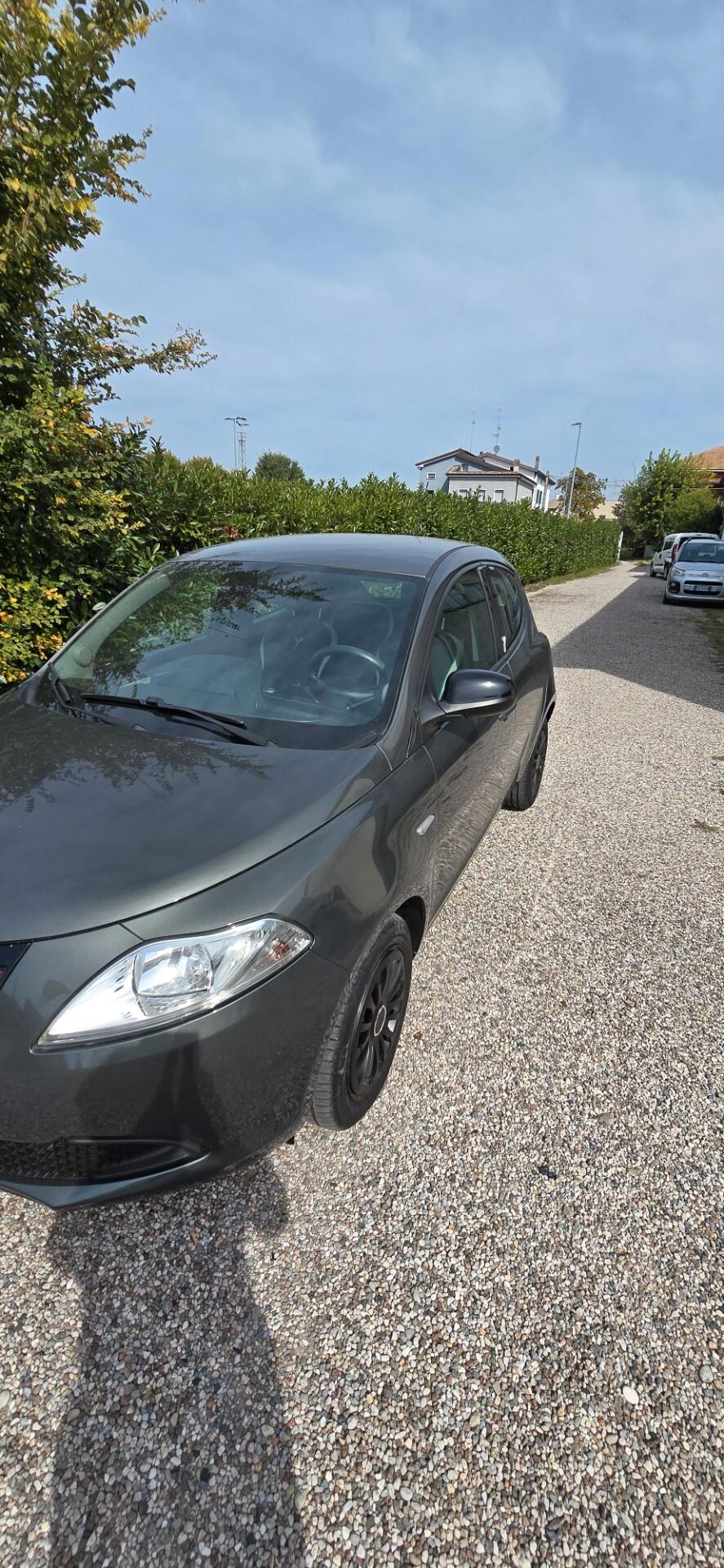Lancia Ypsilon 1.3 MJT 16V 95 CV 5 porte S&S Elefantino