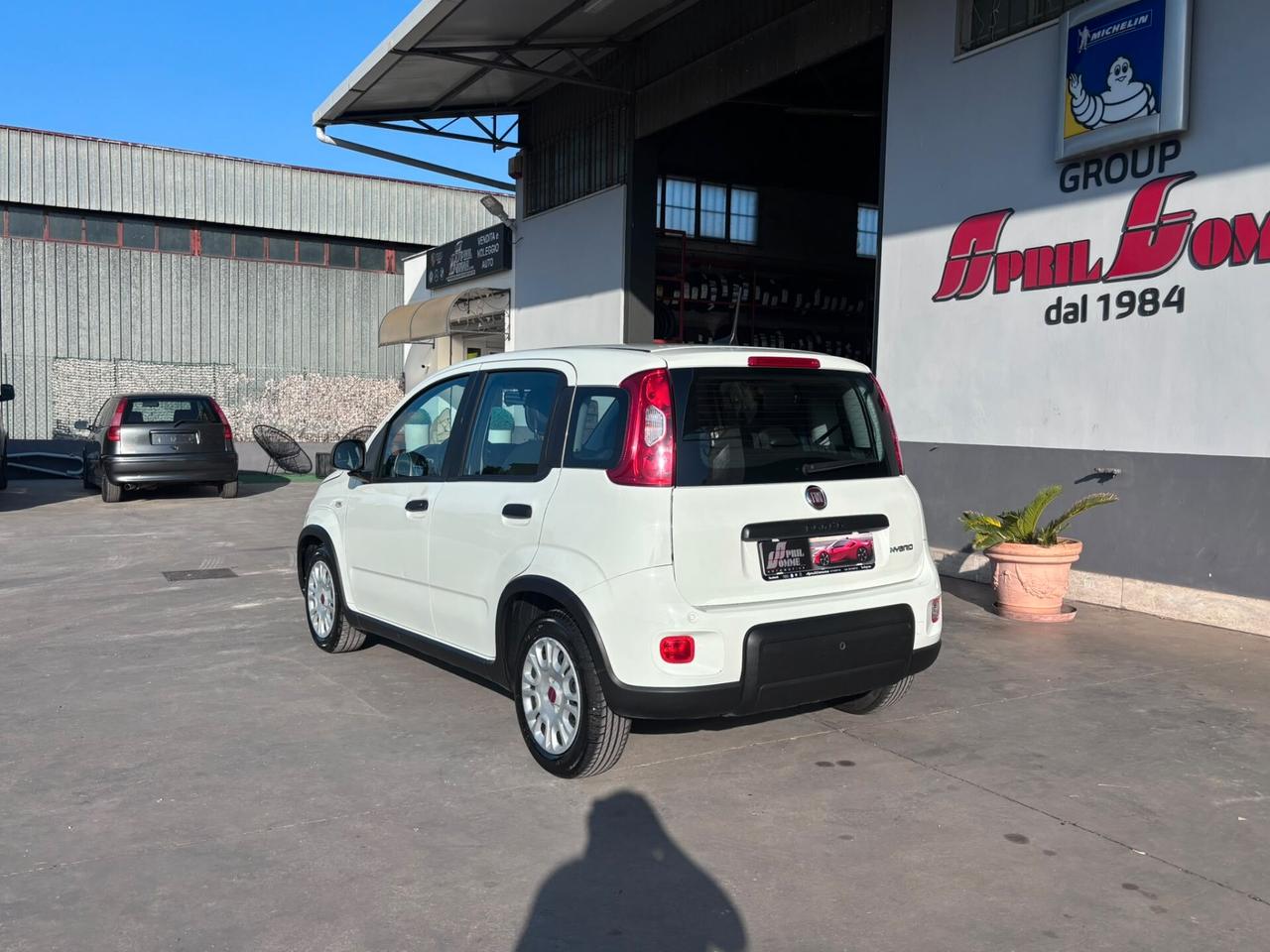 Fiat Panda 1.0 FireFly S&S Hybrid PREZZO PROMO IVA ESP