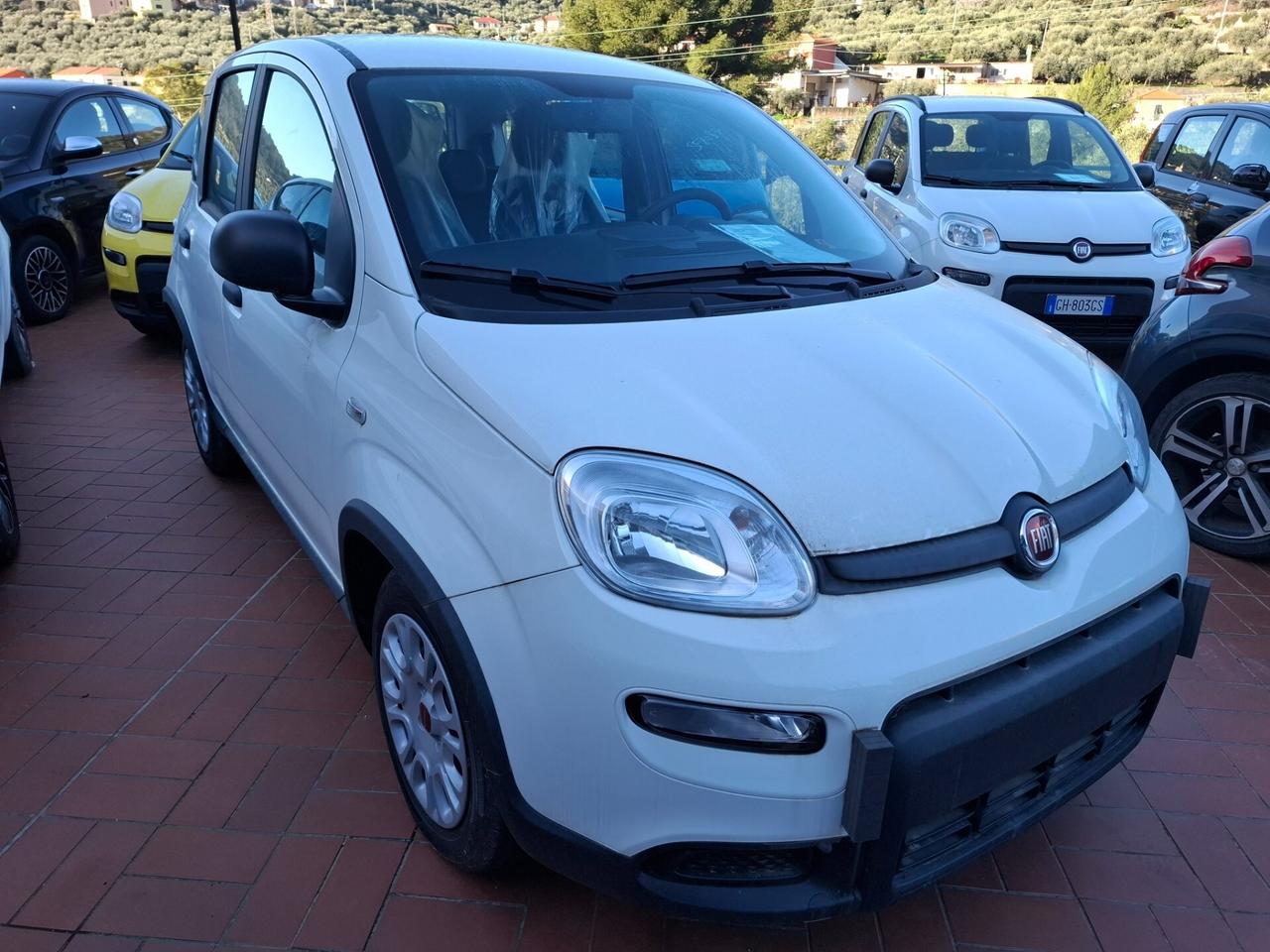 Fiat Panda 1.0 FireFly S&S Hybrid