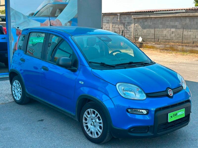 FIAT Panda 3ª serie Panda 1.0 FireFly S&S Hybr...