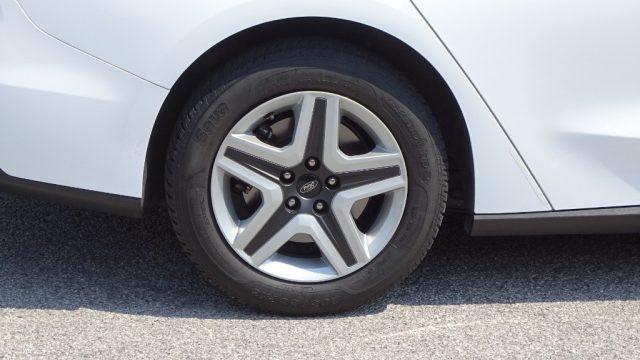 FORD Focus 1.5 EcoBlue 120cv automatico SW Business, Garanzia
