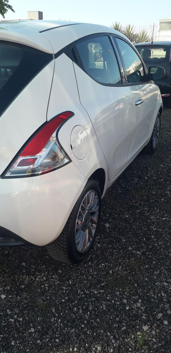LANCIA - Ypsilon - 1.3 MJT 16V 95 CV 5p. S&S Gold