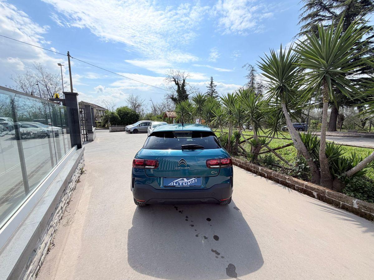 CITROEN - C4 Cactus - PureTech 110 S&S Shine