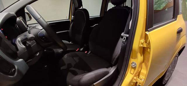 FIAT Panda 1.0 FireFly S&S Hybrid ICON