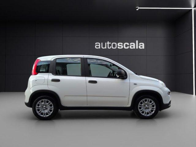 FIAT Panda 1.0 FireFly S&S Hybrid Pandina