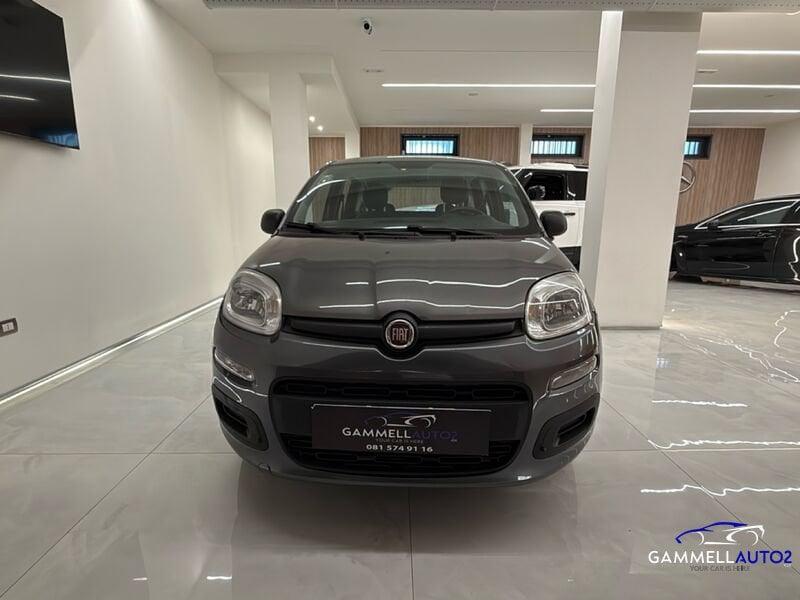 FIAT Panda 1.2 69cv E6 Easy