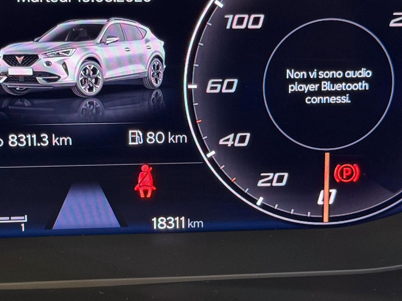 Cupra Formentor 2.0 TSI 4Drive DSG