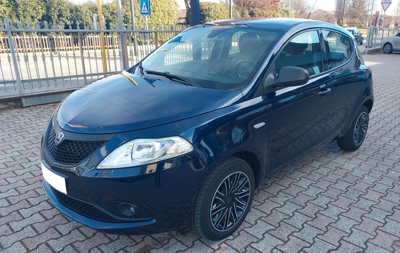 Lancia Ypsilon 1.2 69 CV 5 porte Elefantino Blu