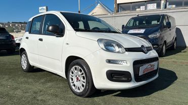 Fiat Panda 1.2 312PXA1A | BENZINA| 169A4000 CC 1242 CV 69 KW 51 BERLINA, 5 P.