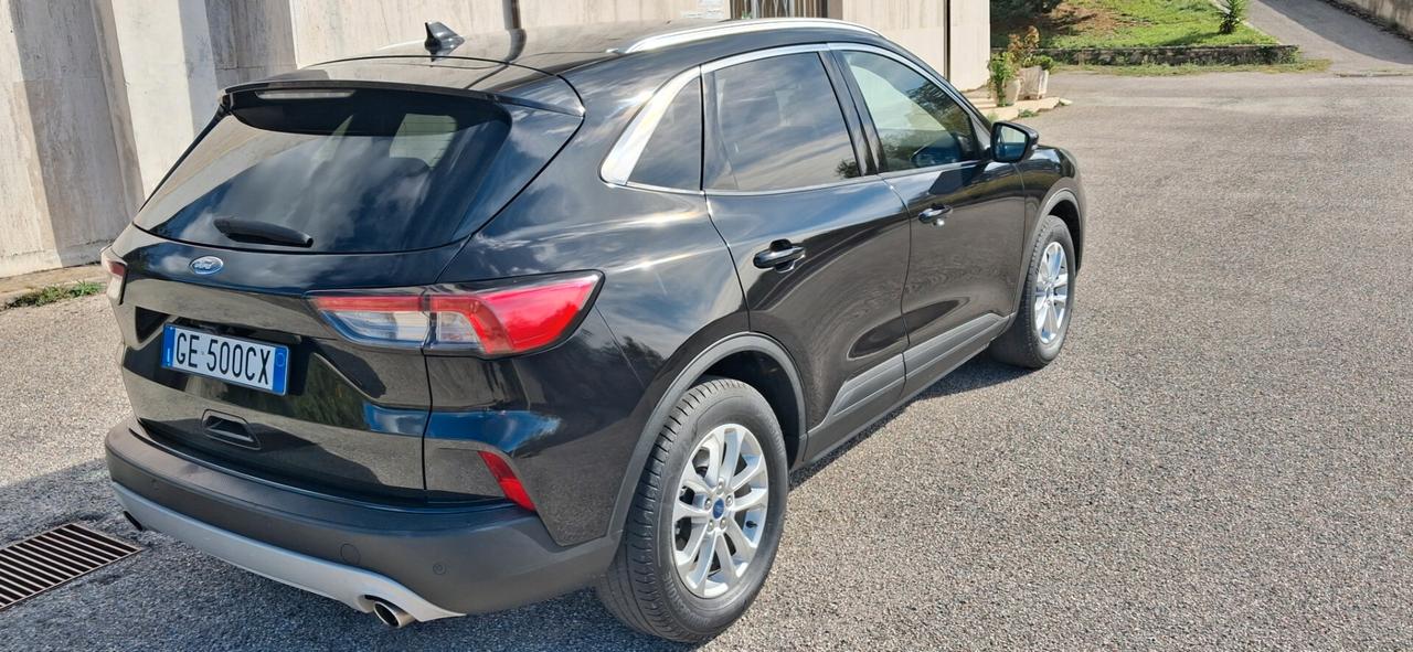 Ford Kuga 1.5 EcoBlue 120 CV 2WD Titanium