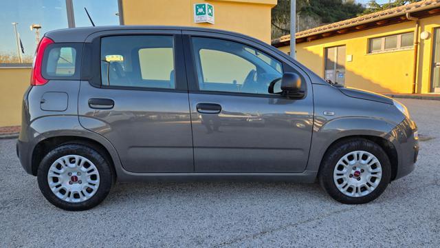 FIAT Panda 1.0 FIREFLY S&S HYBRID 5 POSTI AZIEN.LE GARANZIA