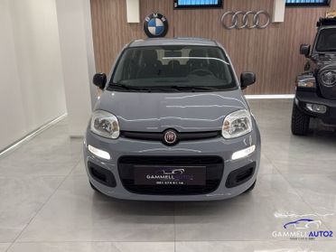 FIAT Panda Panda 1.2 Easy