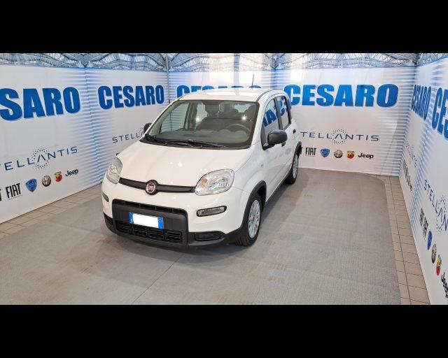 FIAT New Panda 1.0 firefly hybrid s&s 70cv 5p.ti