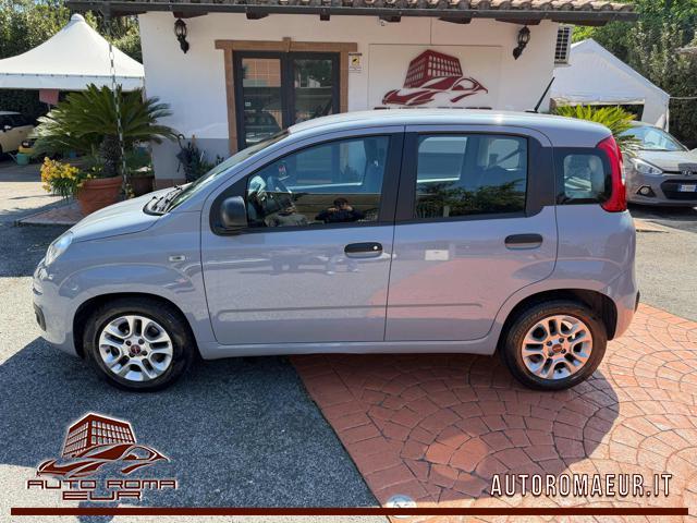 FIAT Panda 1.0 FireFly S&S Hybrid Easy PREZZO REALE!