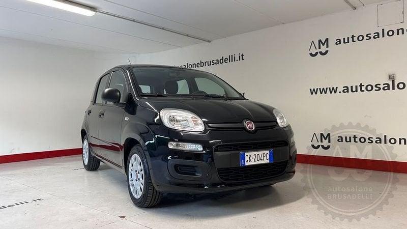 FIAT Panda Panda 1.0 FireFly S&S Hybrid 5 POSTI *PREZZO REALE*