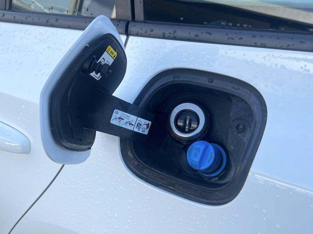 FORD Focus 1.5 EcoBlue 120 CV automatico SW Business del 2022