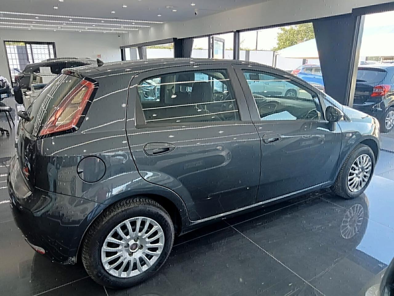 Fiat Punto 1.2 8V 5 porte 1 PROPRIETARIO