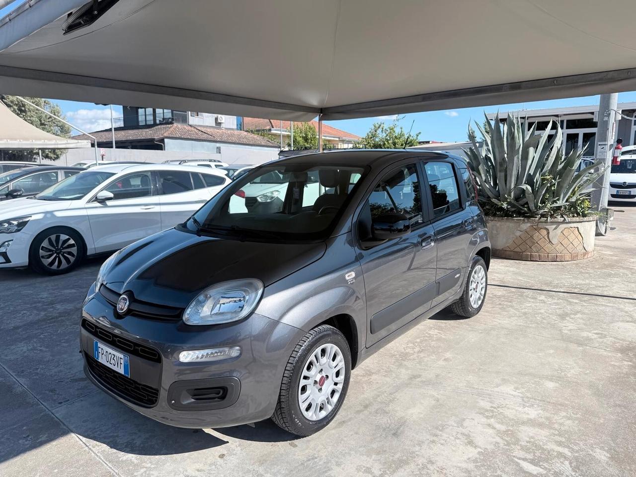 Fiat Panda 1.2 Easy