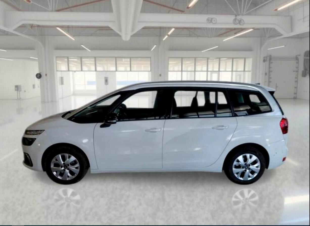 Citroen C4 SpaceTourer BlueHDi 130 S&S EAT8 Business Retrocamera UNIPRO IVA DEDUCIBILE