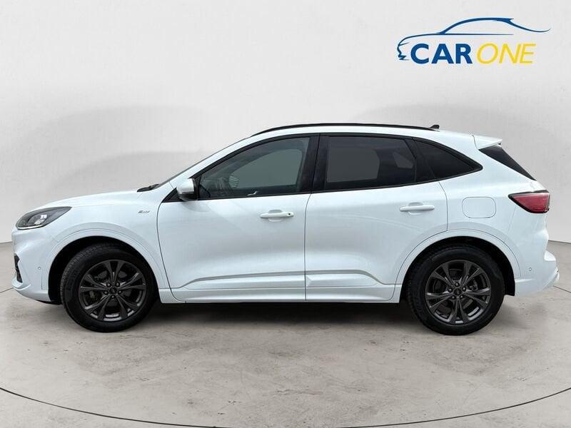 Ford Kuga 1.5 EcoBlue 120 CV 2WD ST-Line