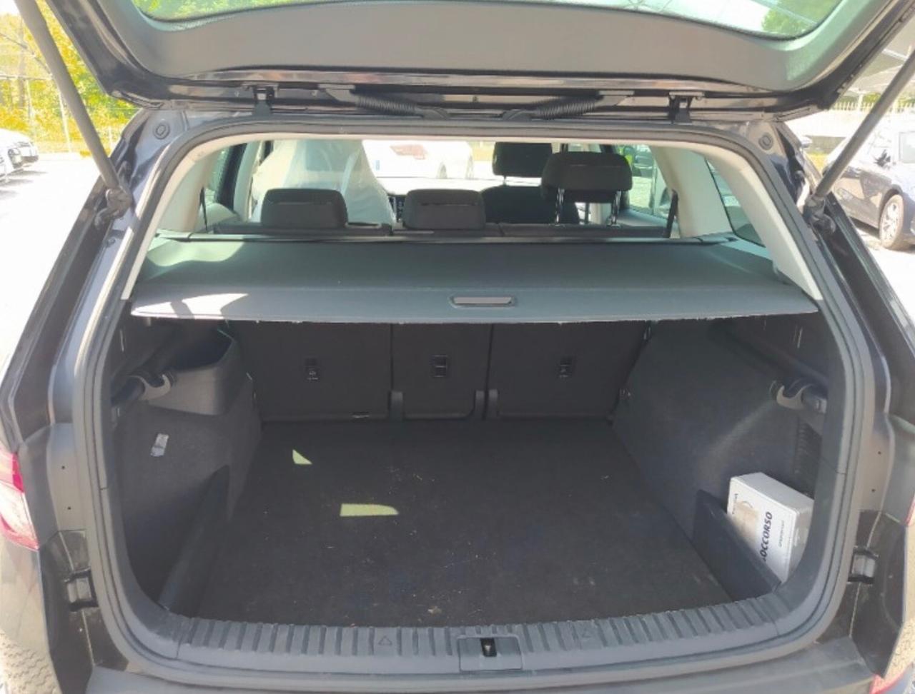 Skoda Kodiaq 2.0 TDI SCR DSG Executive (226)