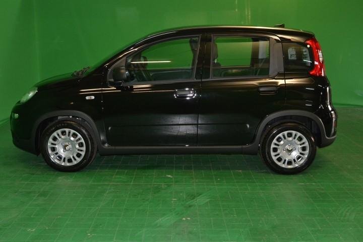 FIAT PANDA - 1.0 70CV HYBRID