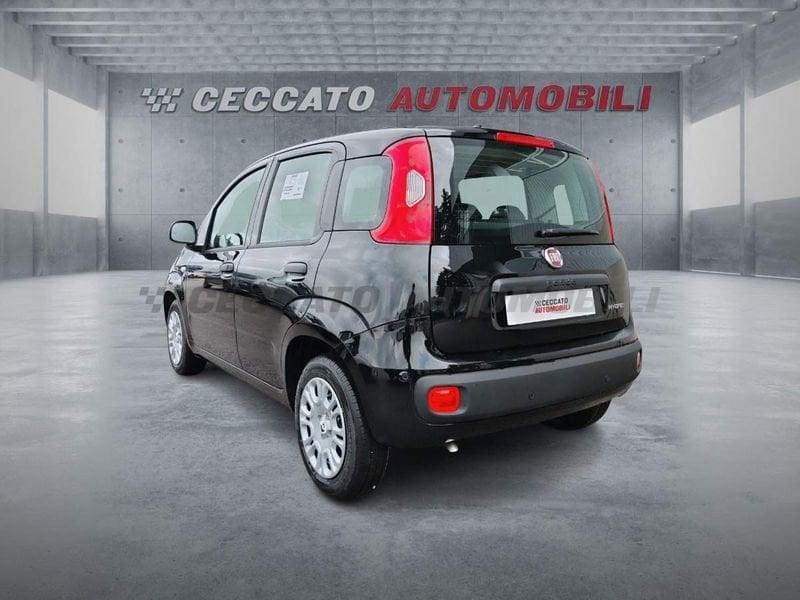 FIAT Panda Panda 1.0 firefly hybrid s&s 70cv