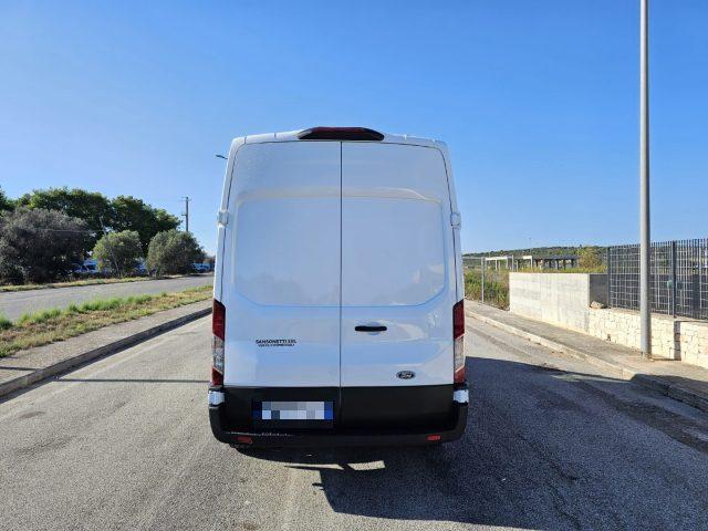 FORD Transit 350 2.0TDCi EcoBlue 170CV L3H3 FRIGO RIVACOLD -20°