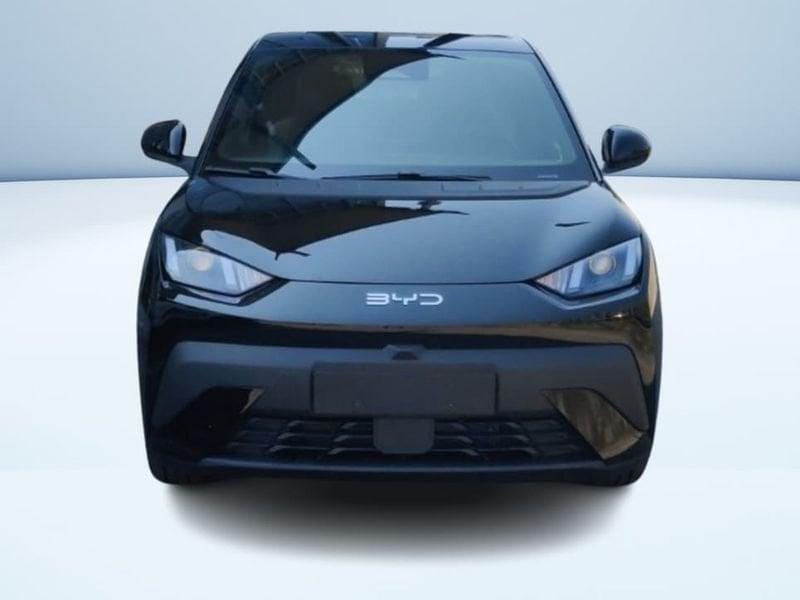 BYD Dolphin Surf Boost