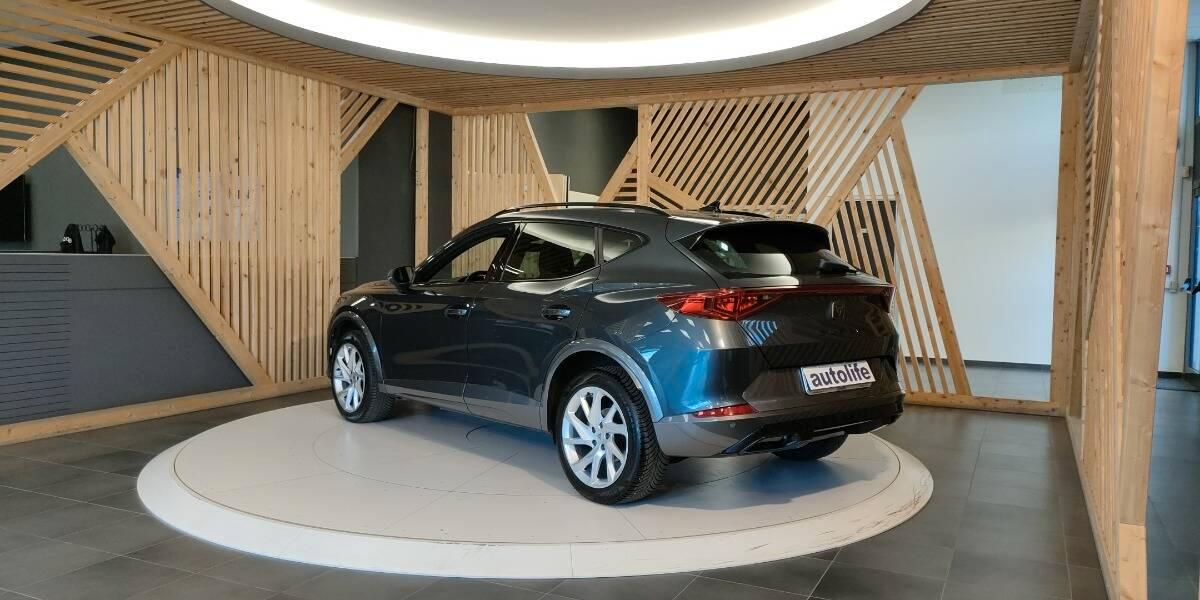 Cupra formentor 2.0 tdi 4drive 150cv dsg