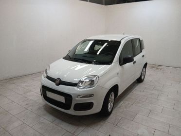 FIAT Panda 1.2 Easy easypower Gpl 69cv my19
