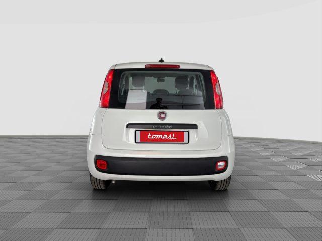 FIAT Panda Panda 1.0 FireFly 70cv S&S Hybrid E6d-Final EASY