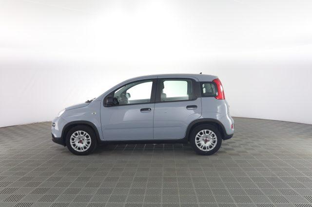 FIAT Panda Panda 1.0 FireFly Hybrid City Life