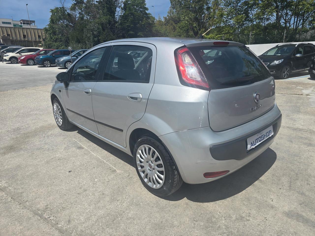 Fiat Punto Evo Punto Evo 1.2 5 porte Active
