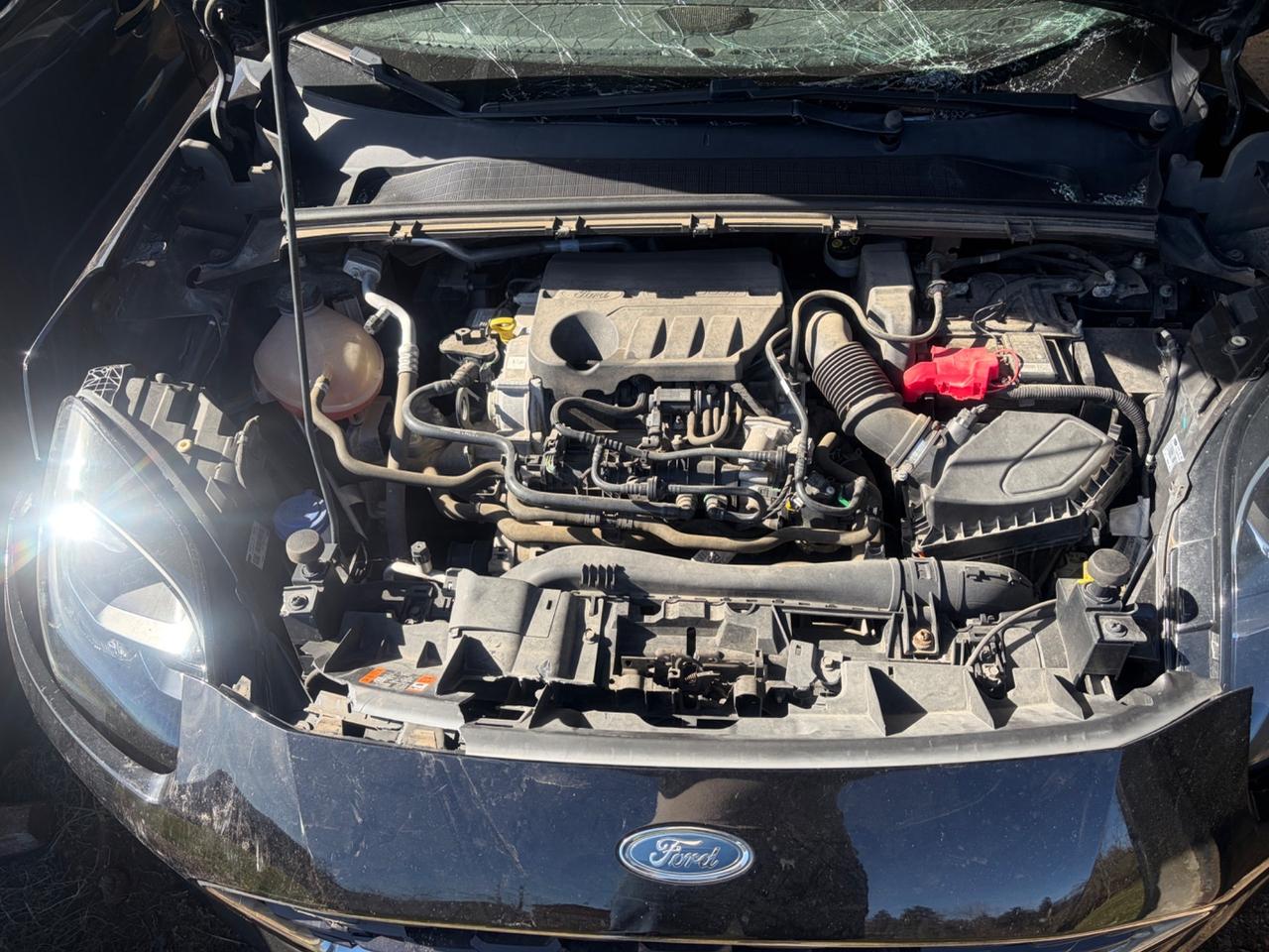 Ford Puma 1.0 BENZINA 125 CV INCIDENTATO