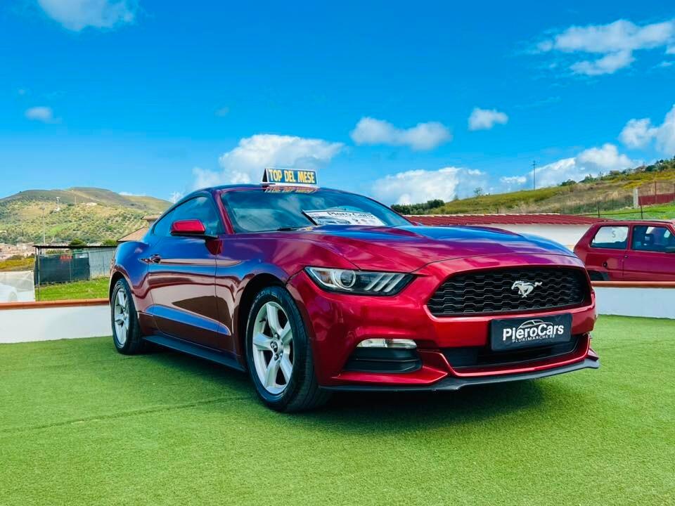 Ford Mustang Fastback 3.7 310CV