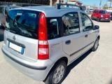 Fiat Panda 1.2 Dynamic Dualogic CAMBIO AUTOMATICO 98.000 KM!
