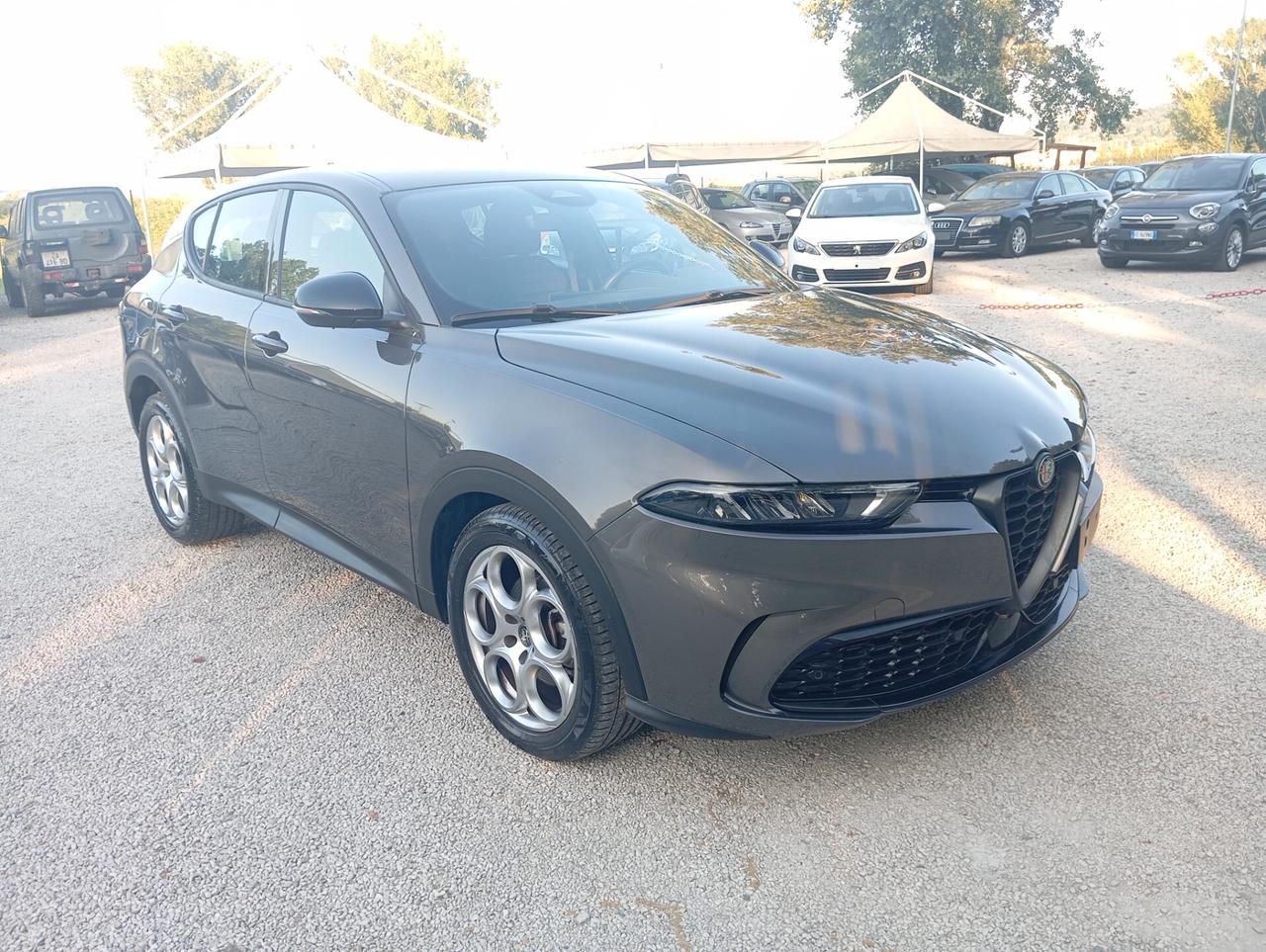 Alfa Romeo Tonale 1.6 diesel 130 CV TCT6 Sprint