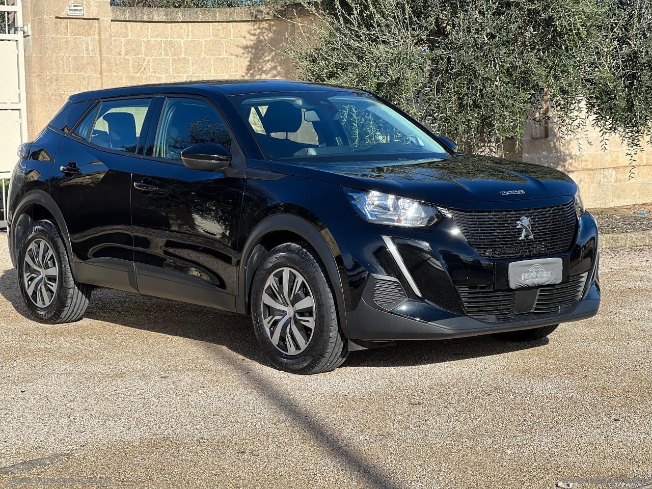 PEUGEOT 2008 BlueHDi 110 S&S Active