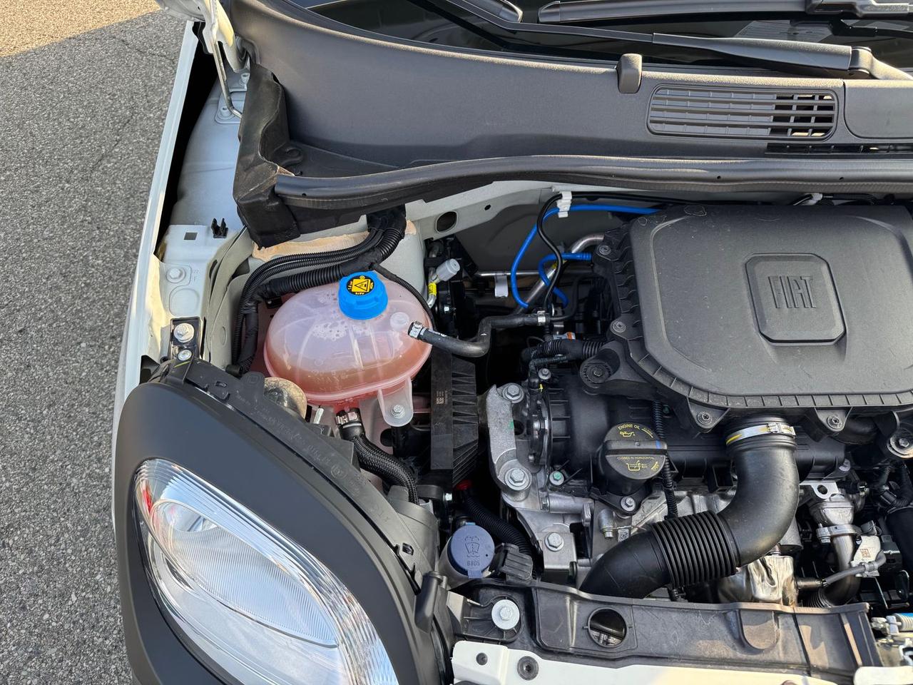 Fiat Panda 1.0 FireFly MHEV Pandina - - PROM #6894