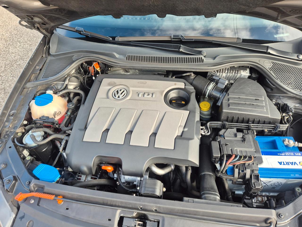 Volkswagen Polo 1.6 TDI 90CV DPF 5 porte