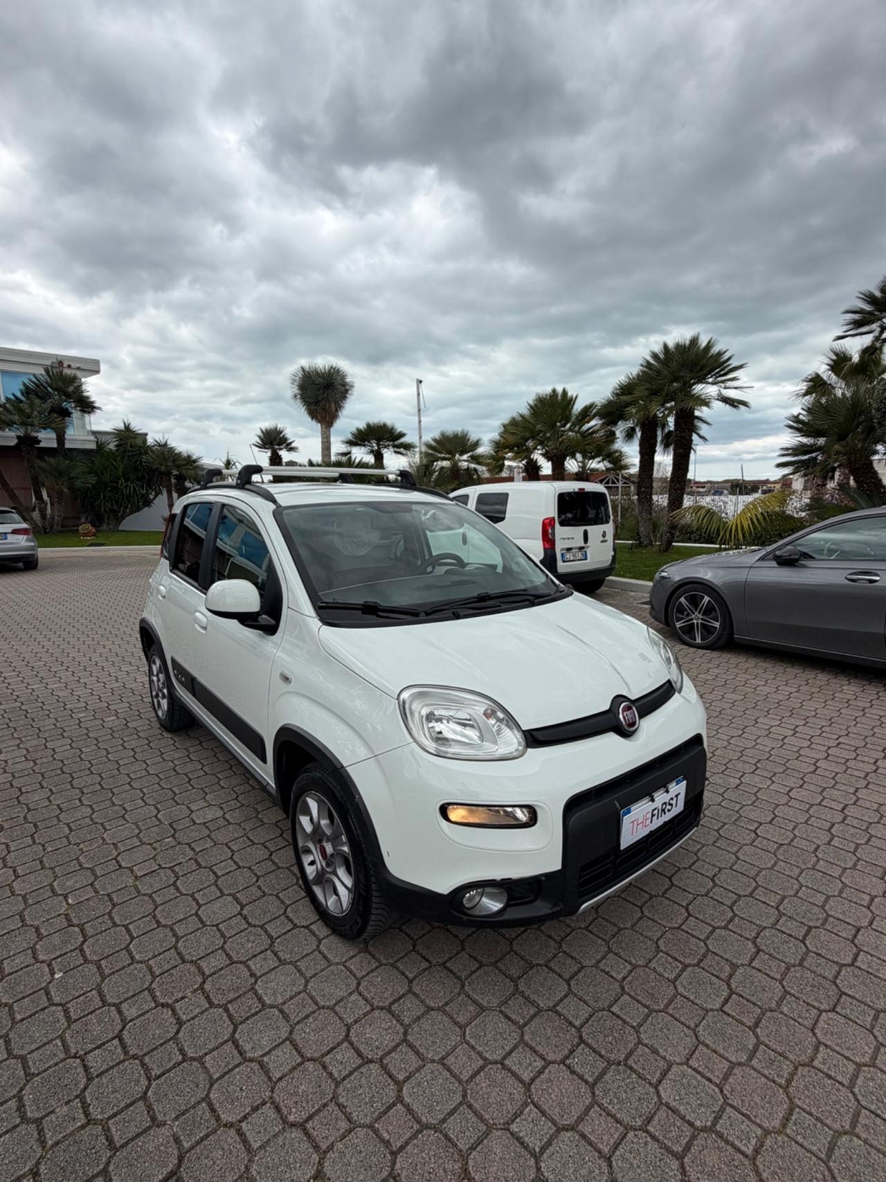 Fiat Panda 1.3 MJT S&S 4x4 Antartica