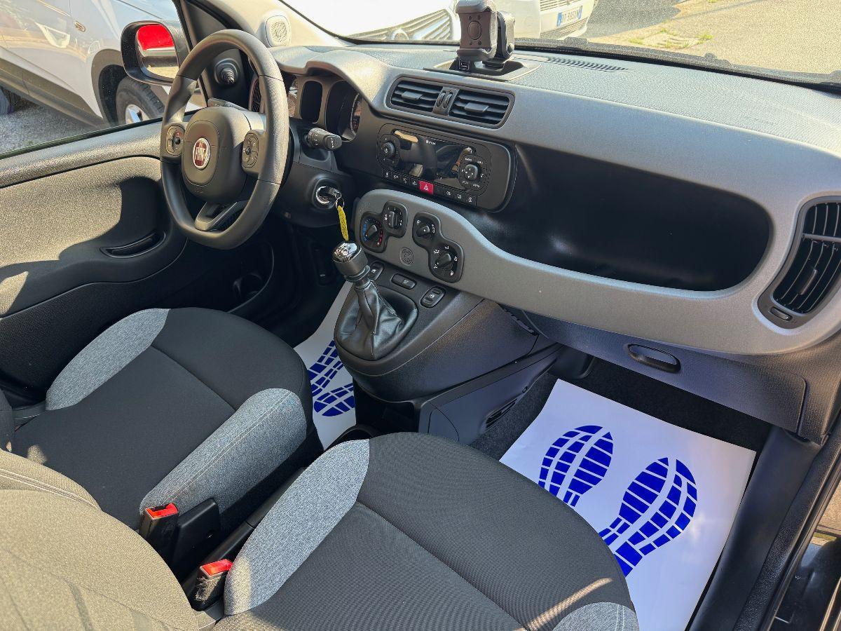 FIAT - Panda - 1.0 FireFly S&S Hybrid NEOPATENTATI
