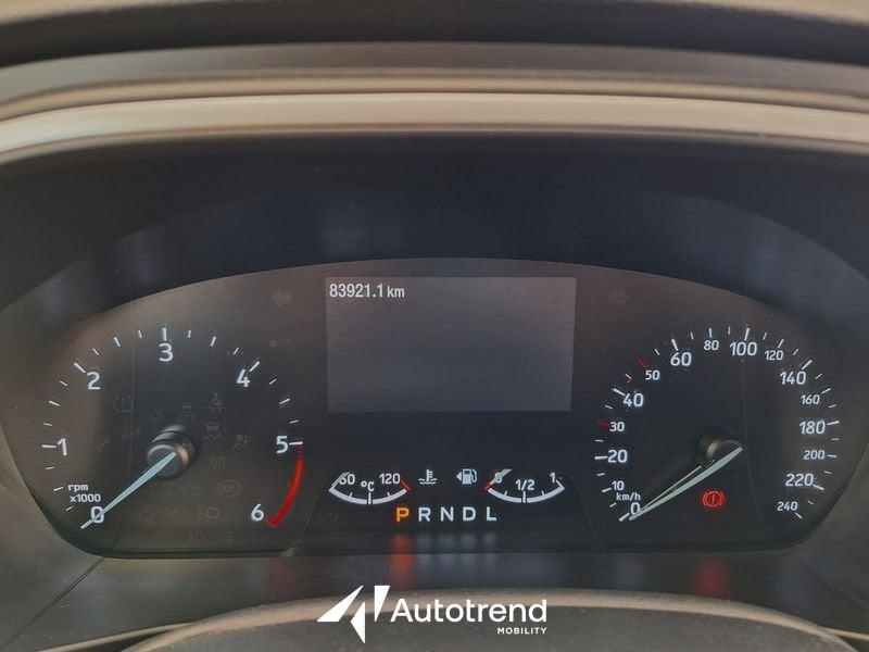 Ford Focus 1.5 EcoBlue 120 CV Automatico Business Co-Pilot