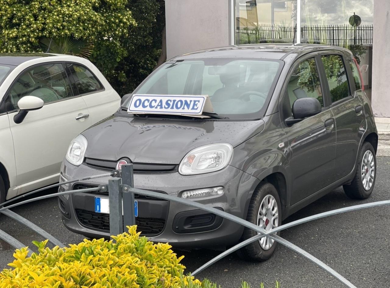 Panda1.2 GARANZIA 2 ANNI! 3482693111