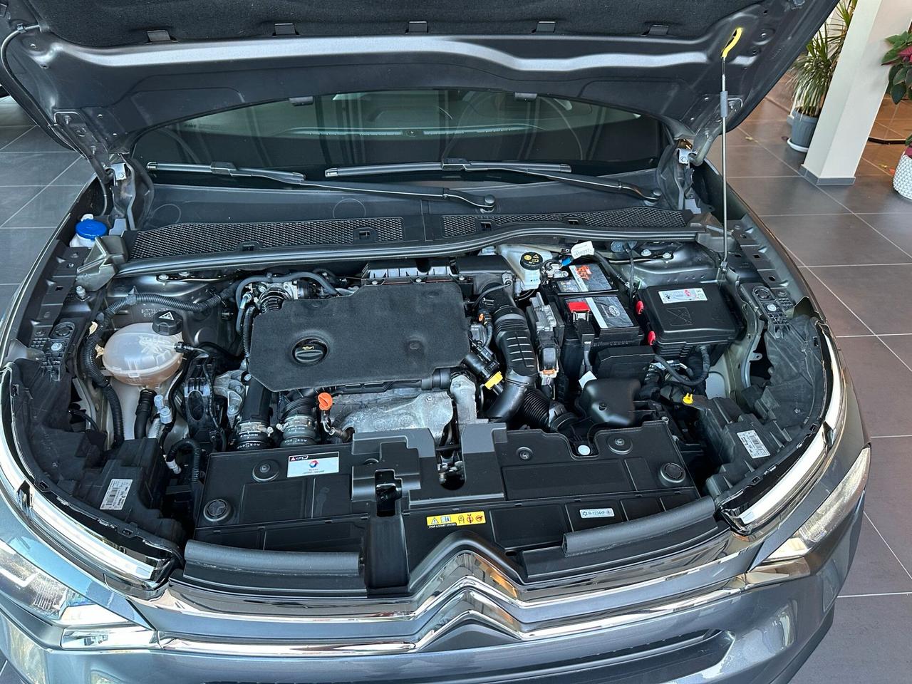 Citroen C4 BlueHDi 130 S&S EAT8 Shine