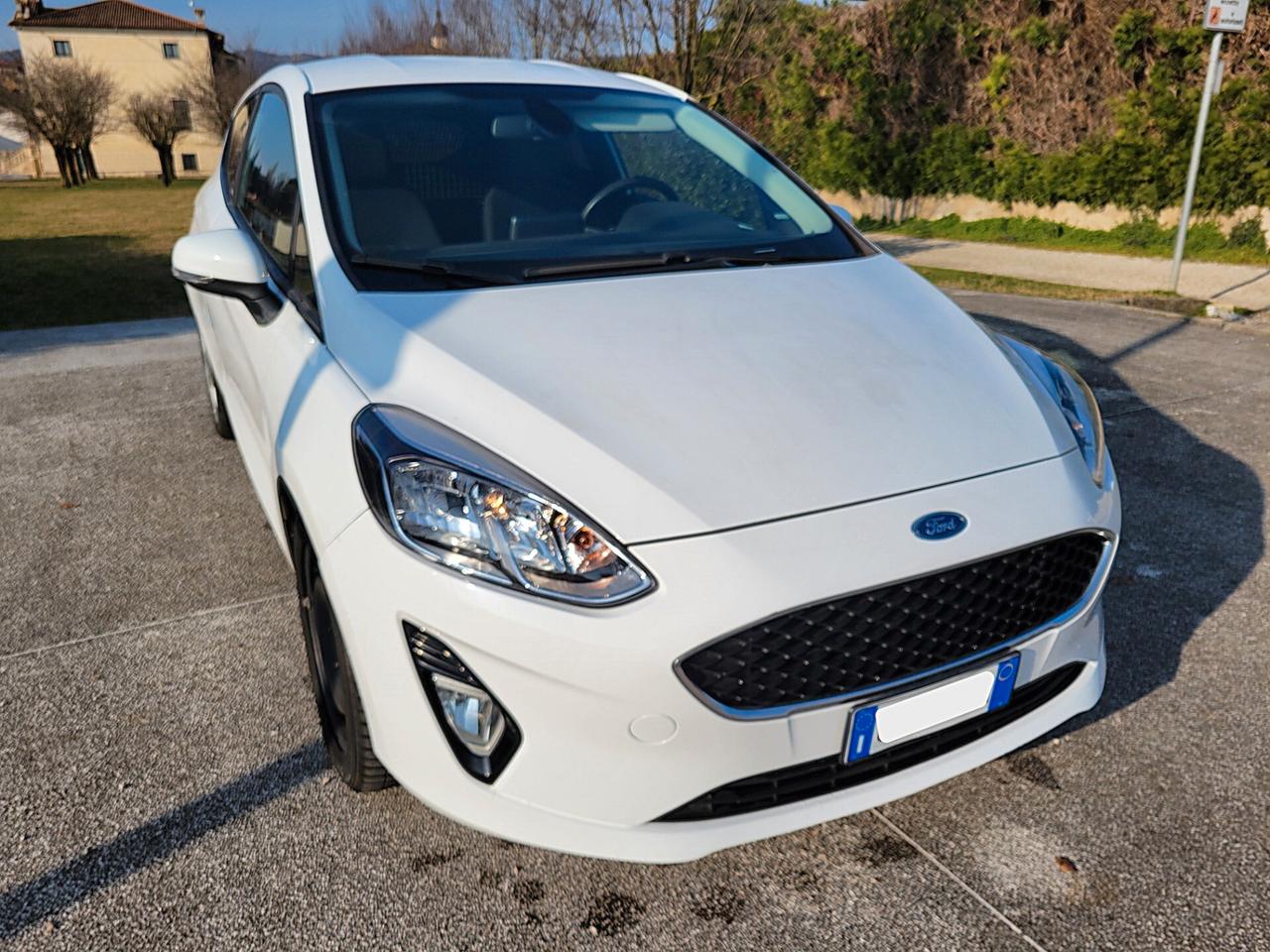 Ford Fiesta 1.5 TDCi 85 CV 3 porte Van Trend