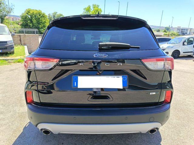 FORD Kuga 2.0 EcoBlue Hybrid 150 CV 2WD Titanium Business