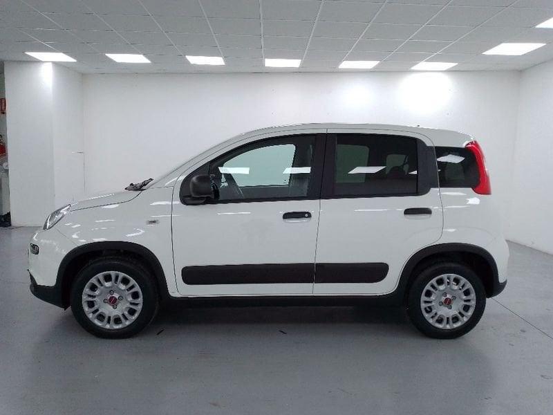 FIAT Panda van 1.0 hybrid Street 70cv 4p.ti serie 4 E6d