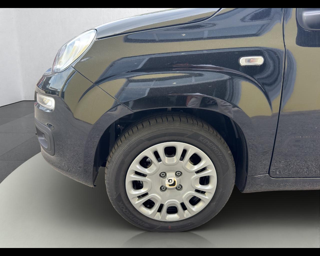 FIAT Panda 3ª serie - Panda 1.0 FireFly S&S Hybrid